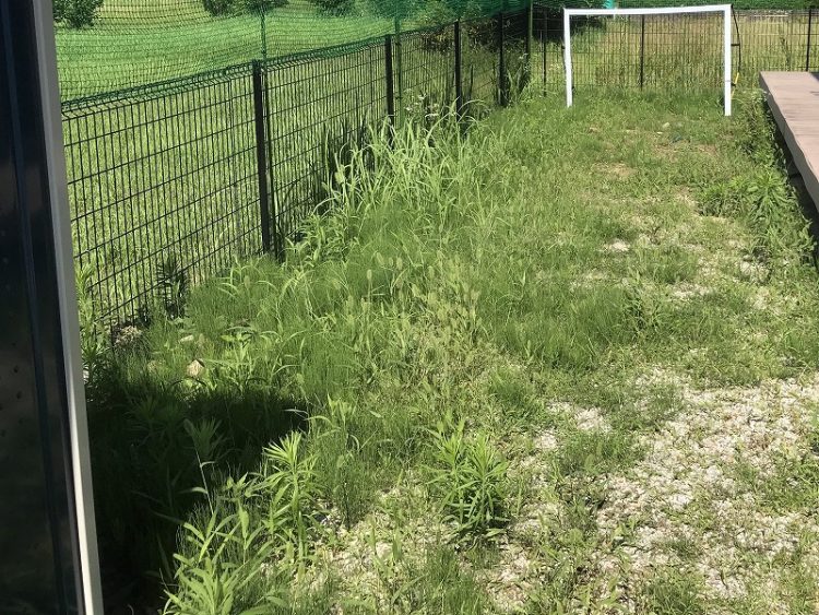 お庭の雑草対策　防草シートや人工芝、コンクリートなどのご紹介