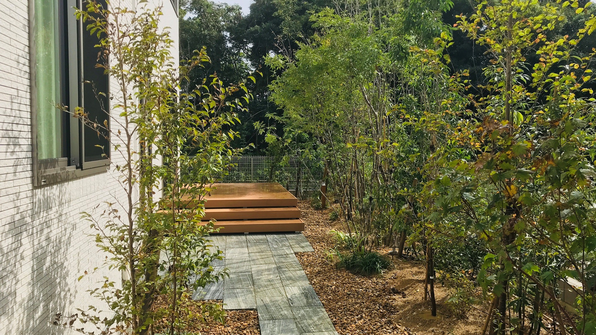 植物（樹木・草花）