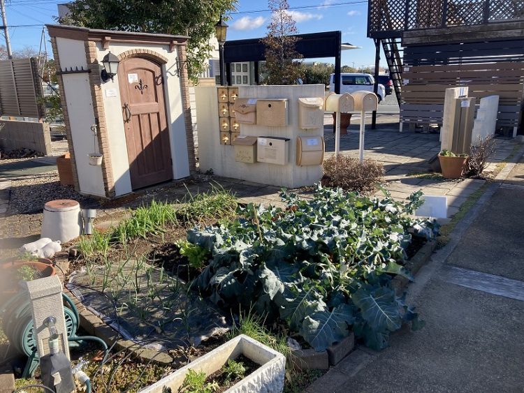 お庭で手軽に野菜づくり！ おしゃれなキッチンガーデンアイテムのご紹介　浜松市ハマニグリーンパーク