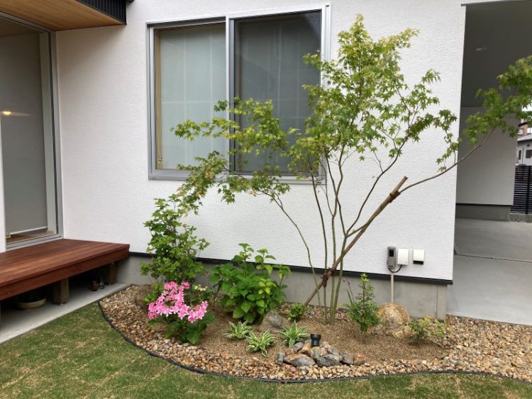 モミジ　ハマニグリーンパーク