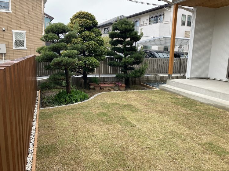 TOYOピンコロ見切りで既存植栽を生かした趣のあるお庭 浜松市東区Y様邸