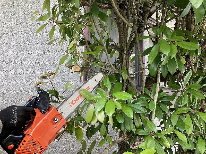 庭じまいについて考える　浜松市お庭のリフォーム