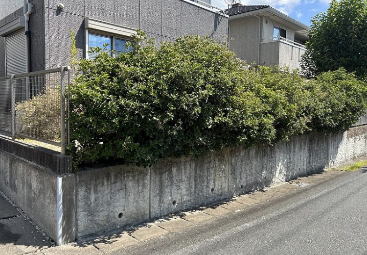 生垣からフェンス