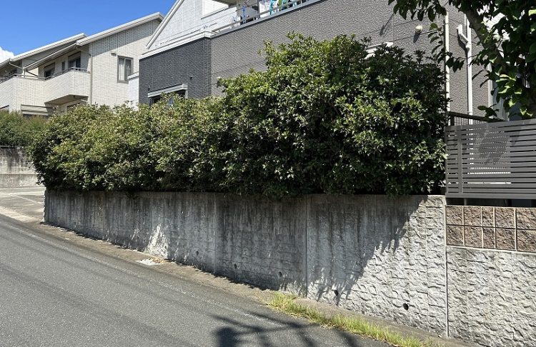 生垣からフェンス