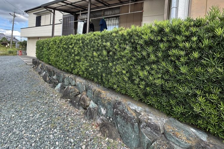 生垣からフェンス