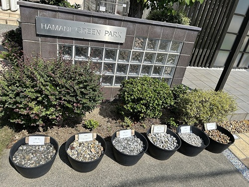 展示場　砕石
