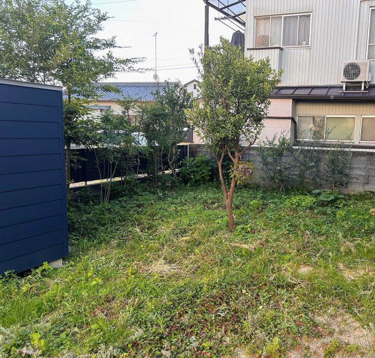 【雑草対策】雑草だらけのお庭が劇的大変身！緑豊かな「天然芝貼り」で心地よい緑の空間へ！