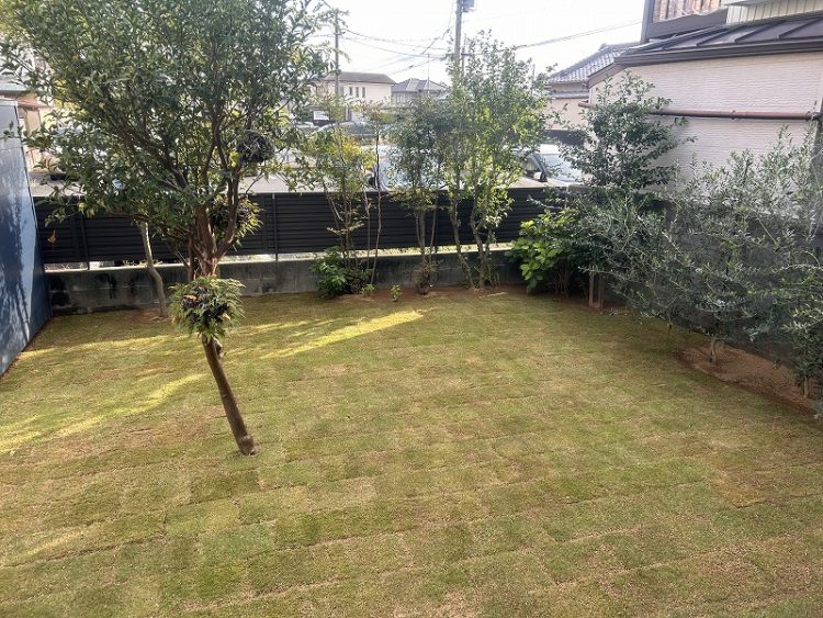 天然芝貼り　完成１