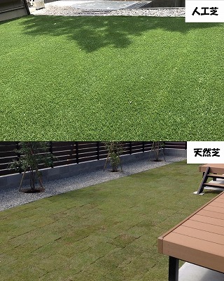 人工芝と天然芝ってどっちがいいの？　メリット・デメリットをご紹介します　浜松市　ハマニグリーンパーク
