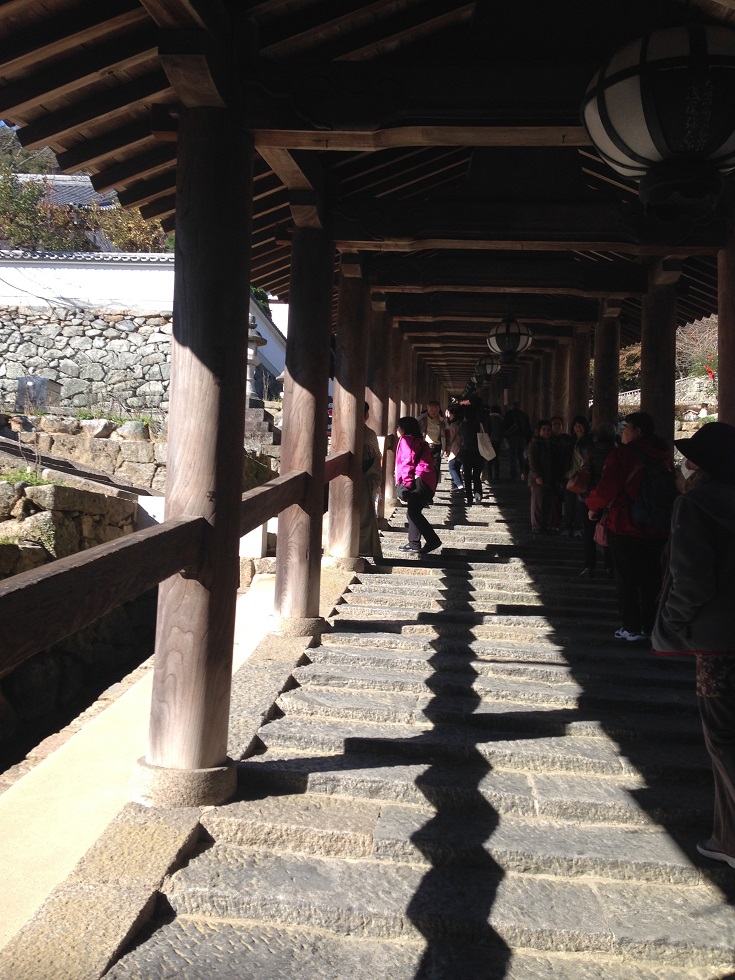 植栽剪定させていただきました