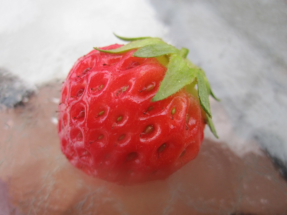 多機能宅配ポスト　ボビ カーゴ　Ｂ-life.s　をご紹介します。　浜松市