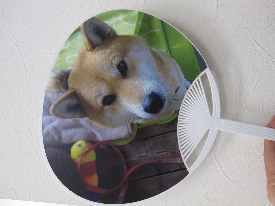 駐車場・アプローチ部分のリフォーム工事①